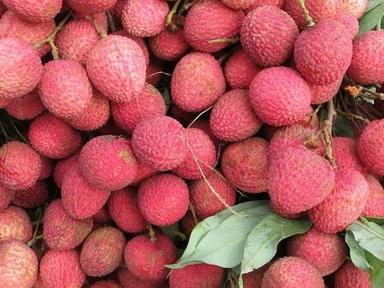 Red Pure And Raw Commonly Cultivated Sweet Whole Fresh Litchi 