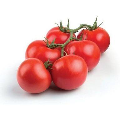 Round Healthy Farm Fresh Indian Origin Naturally Grown Vitamins Rich A Grade Red Tomato For Cooking