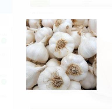 65Mm Garlic Size 52% Fat 64 % Moisture Packaging Size 50 Kilogram Fresh Garlic  Preserving Compound: Cool & Dry Place