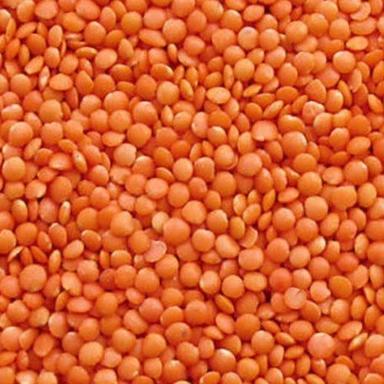 Splited High In Protein Sun Drying Lentils Common Red Masoor Dal For Domestic Use