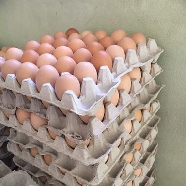 Healthy Diet Have Rich Protein Properties Fresh And Delicious Brown Eggs
