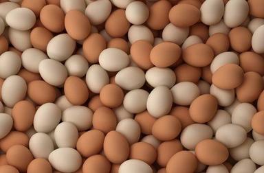हल्के प्राकृतिक रूप से प्रोटीन और विटामिन से भरपूर स्वस्थ भूरे अंडे