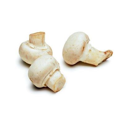 White Rich In Fiber Protien Potassium Healthy Fresh Vitamins Mushrooms 