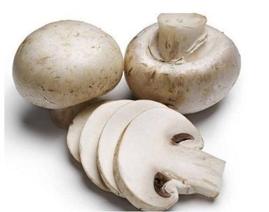Rich In Proteins Easy To Digest Healthy And Natural White Button Mushroom  Processing Type: Raw