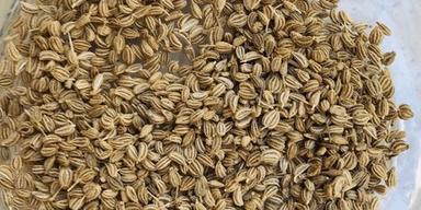 Solid 100% Organic And Pure Brown Color Natural Food Grade Ajwain For Cooking Use