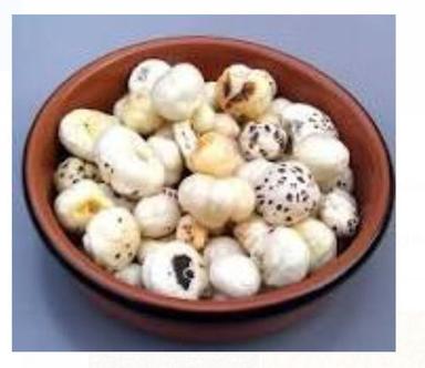 White 100 Percent Natural Quality And Healthy Round Shape Makhana For Snacks