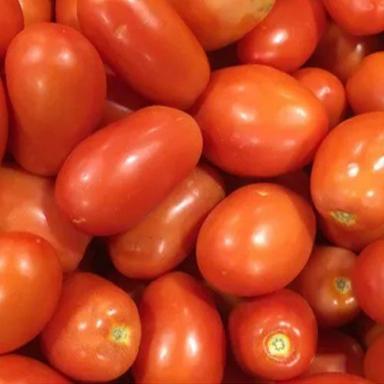 Round Fresh Enriched With Nutrients Farm Fresh A Grade Red Tomatoes