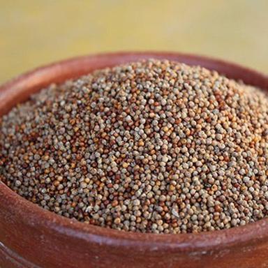 100% Fiber And Vitamins Healthy Tasty Naturally Grown Indian Organic Pearl Millet Admixture (%): 1