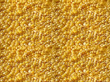  100% शुद्ध और स्वस्थ प्राकृतिक पीले समृद्ध पोषक तत्व सुगंधित फॉक्सटेल बाजरा मिश्रण (%): 1