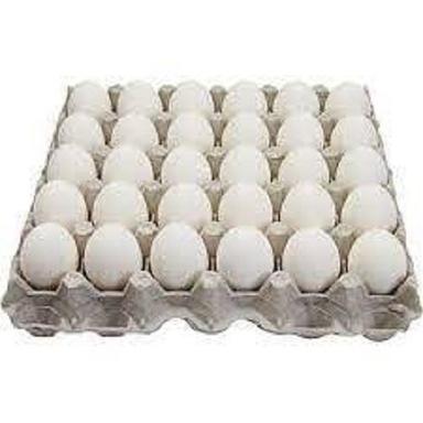 High In Protein And Nutrients Healthy Rich In Vitamins 30 White Eggs Tray Egg Origin: Chicken