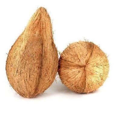 भूरा भारतीय मूल प्राकृतिक रूप से उगाए गए एंटीऑक्सिडेंट और विटामिन से भरपूर स्वस्थ खेत ताजा सूखा नारियल