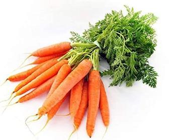 Long  Root Vegetables Healthy Fresh High Vitamins Antioxidants Orange Carrot 