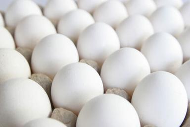 Healthy Fresh And Natural Good Source Of Proteins And Fats White Eggs Egg Origin: Chicken