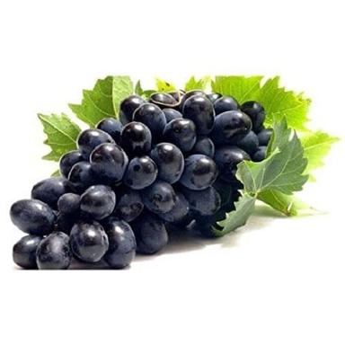Rich In Anti Oxidant Fresh And Chemical Free Sweet Tasty Black Grapes