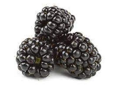 Black 100% Pure Organic Rich Vitamins And Fresh Sweet Blackberry Frozen Fruit