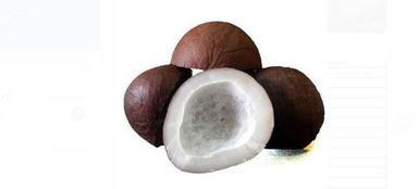 भूरा 1 किलो वजन 100% शुद्ध और प्राकृतिक ताजा खाद्य ग्रेड सूखा नारियल 