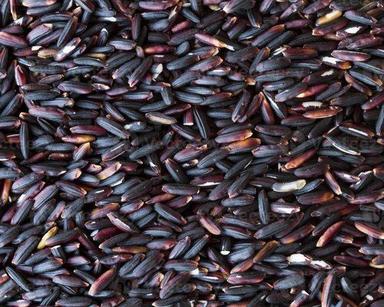 ऑर्गेनिक भारतीय मूल के मध्यम अनाज के आकार का अच्छी तरह से सूखा प्रोटीन युक्त काले सूखे धान का चावल