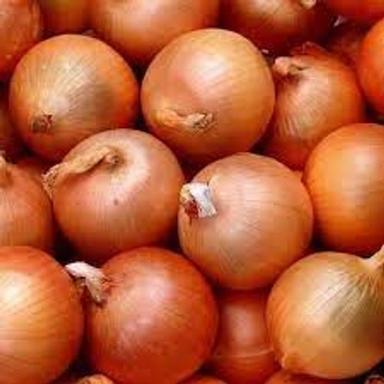 Round  Tasty And Healthy Extended Shelf Life Flavour Antioxidant Fresh Brown Onion 