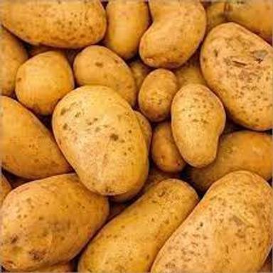 Randum Health Benefits More Nutrients Soft Slightly Sweet High In Dietary Fiber Fresh Potato 