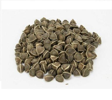 Brown Cultivation Odc Aromatic And Farm Fresh Indian Origin Naturally Grown Moringa Seeds