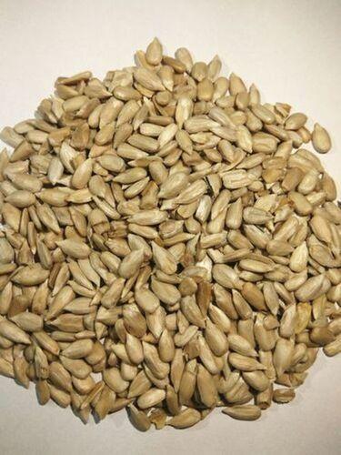 Brown Nutritious And Delightful Snack Sunflower Seed