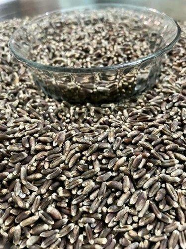 100% Natural And Pure Immunity Booster Fiber Iron Calcium Mix Black Wheat Grains Broken (%): 1