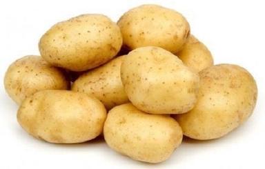 Round Raw Processing Healthy And Natural 17% Moisture Fresh Potato