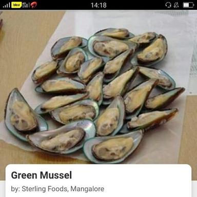 Seafood Green Mussel For Restaurant And Mess Use, Airtight Packaging