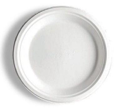 Plain White 10 Inch Round Sugarcane Bagasse Biodegradable Plate