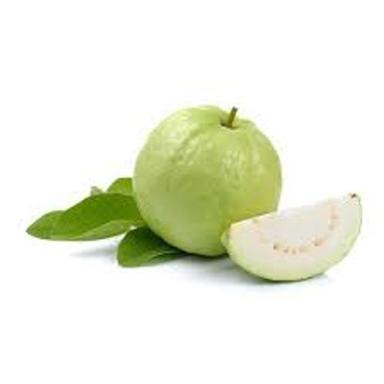 Green Directly From Farm Organically Grown Mildly Sweet Exotic Crunchy Fresh Guava