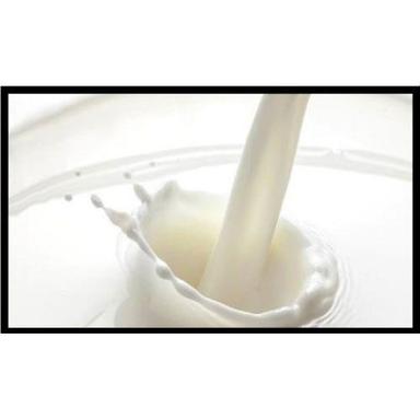 Fresh Natural Healthy Hygienically Packed Raw White Cow Milk Age Group: Adults