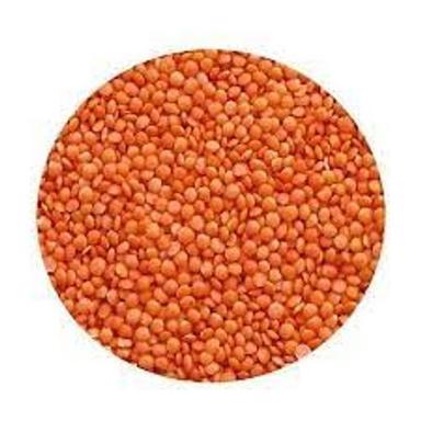 Naturally Processed Excellent Quality Split Masoor Dal/Red Masoor Dal