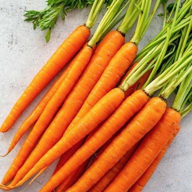 Cylinderical 100% Naturally Grown Sweet Testing Root Vegetable Fresh Red Carrot