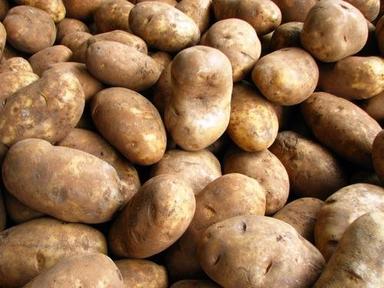 Indian origin Fresh Potato