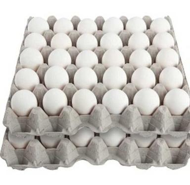 Natural Fresh And Healthy Low Fat 26% Protein Oval Shape White Poultry Eggs  Egg Origin: Chicken