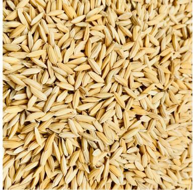 100 Percent Natural Quality And Pure Long Grain Brown Paddy Rice, 50 Kg Admixture (%): 5 %