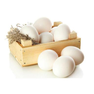 Chicken Origin Oval Shape Natural White Fresh Poultry Eggs Egg Size: Standard