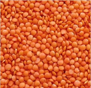 Dried Splitted Round Shape Common Cultivated Red Masoor Dal For Cooking Use Admixture (%): 2%