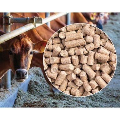 Healthy High In Protein And Natural Brown Dairy Cattle Feed 
