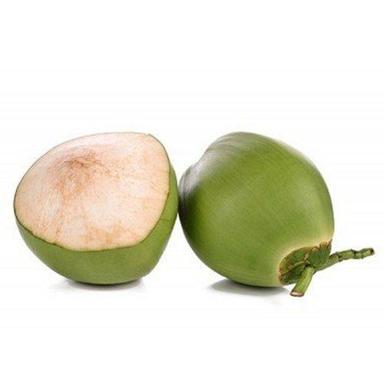सामान्य प्राकृतिक और शुद्ध स्वस्थ 100% ए ग्रेड भारतीय मूल का शुद्ध ताजा ठोस हरा कोमल नारियल 