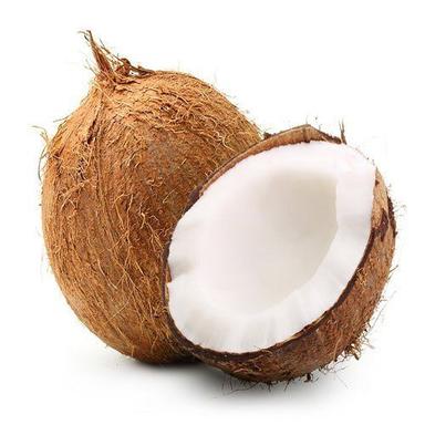Common Brown Healthy And Fresh Natural Farming Semi Husked Coconut