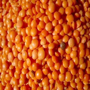 Healthy Nutritious No Added Color Chemical Free Orange Masoor Dal Admixture (%): 0.5%