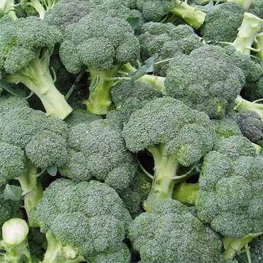 100 Percent Natural Green Color A Grade Fresh Broccoli For Cooking, 1 Kg  Moisture (%): 10