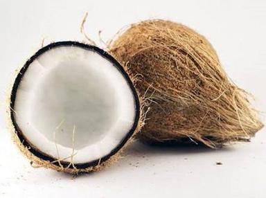 सामान्य स्वस्थ विटामिन खनिज प्राकृतिक और खेत से भरपूर ताजा प्राकृतिक रूप से उगाया जाने वाला भूरा ताजा नारियल 