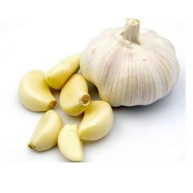 Healthy Farm Fresh Indian Origin Naturally Grown Vitamins Rich Fresh Garlic Moisture (%): 20