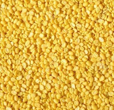 Fresh Round Shape Commonly Cultivated Common Peas Dried Healthy Masoor Dal  Admixture (%): 2%.