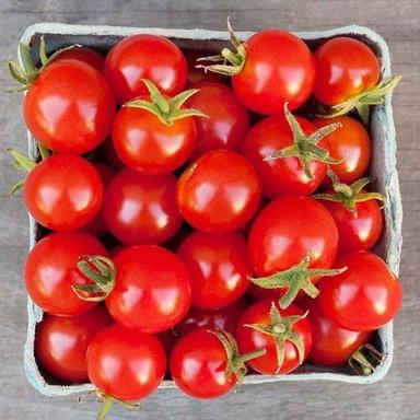 Pesticides Free Rich In Potassium 100% Natural Fresh Red Tomato For Cooking