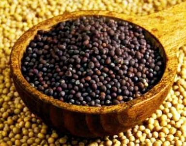 Natural And Organic Black Mustard Seed Used In Cooking And Oil
