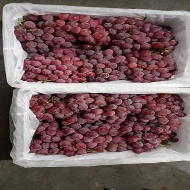 Natural No Added Preservative Delicious Rich In Vitamin Fresh Red Grapes Grade: Industrial