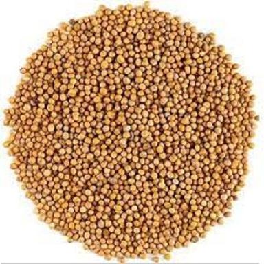 Color Yellow Mustard Seeds Admixture (%): 0.7% To 6%